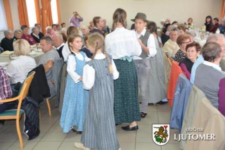 Srečanje KS Stročja vas10